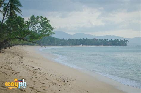 WayPH.com - Philippine Tour Packages and Travel Guide | Saud Beach REsort