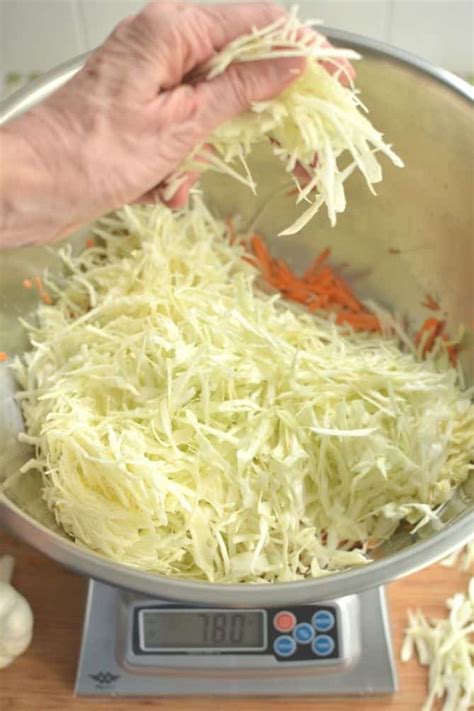 Sauerkraut Fermentation Course Makesauerkraut