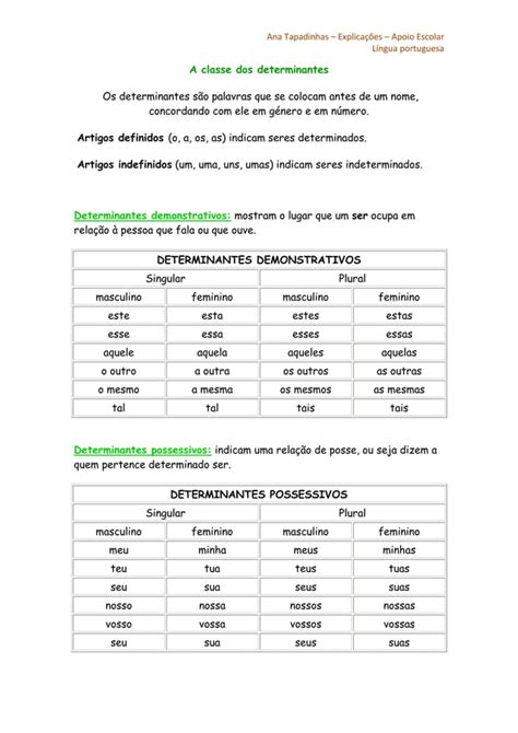 Determinantes E Pronomes Resumo Te Rico Pdf