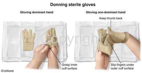 What Is Donning Sterile Gloves - Images Gloves and Descriptions ...