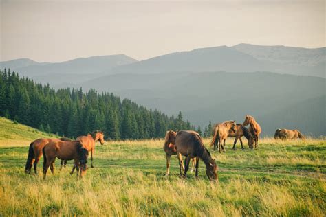 5 Große Gebirge In Europa Faszination Berge