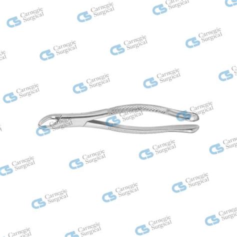 Cryer Extracting Forceps Lower Incisors Canines Carnegie Surgical Llc