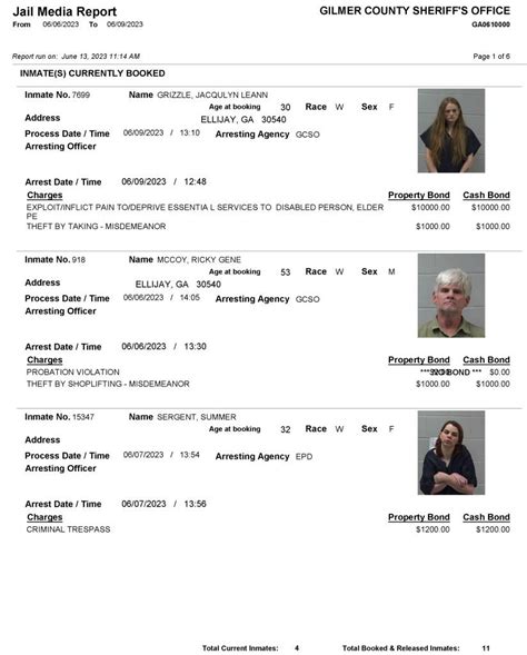 Gilmer County Sheriffs Office Arrest Report 6 2 6 12 2023 GilmerGilmer