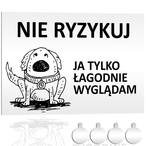 Tabliczka PCV UWAGA ZŁY PIES NIE RYZYKUJ 30x20 Druk UV przylepce