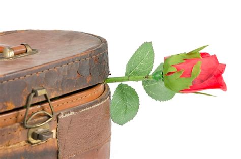 Premium Photo | Photos of red roses for valentine's day, isolated on white