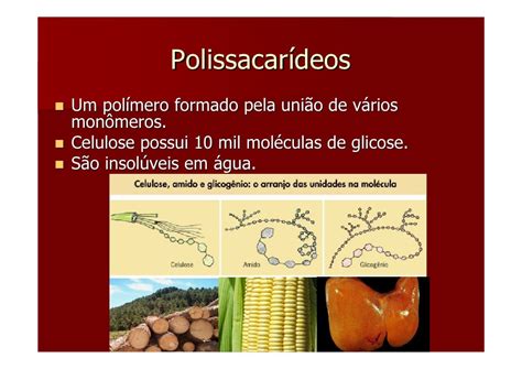 O Glicogenio E Amido Sao Polissacarideos De Armazenamento - RETOEDU