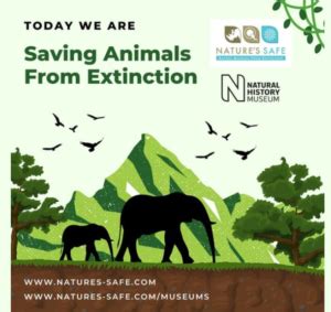 Nature's SAFE - We Are Saving Animals from Extinction | Gemini Genetics