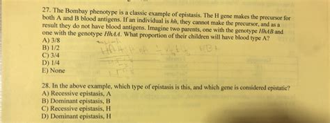 Solved 27. The Bombay phenotype is a classic example of | Chegg.com