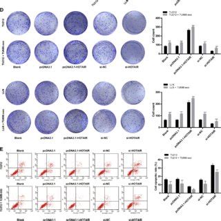 Laryngeal Cancer Derived Exosomes Reduce Laryngeal Cancer Cell