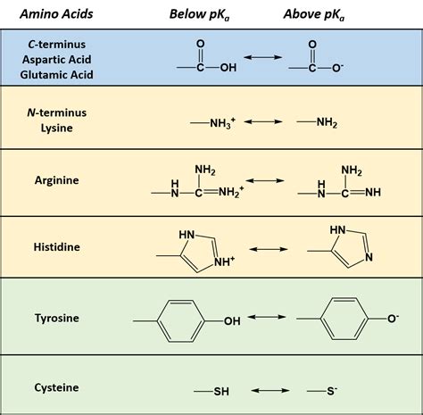 Amines Amides And Amino Acids Are Categories Of Isomers