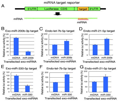 Ijms Free Full Text Fluctuation Of Global Gene Expression By