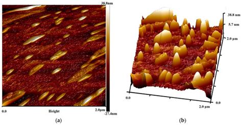 Minerals | Special Issue : Applications of Atomic Force Microscopy in ...