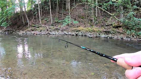 Trout Fishing Tips Trout Fishing With Spinners In Creeks And Streams