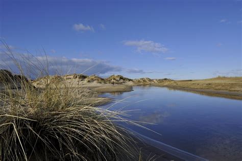 Pinksteren Op Texel Boeken VVV Texel