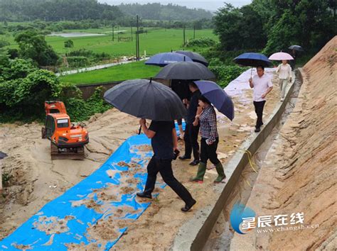 望城区茶亭镇：全力以赴防御地质灾害