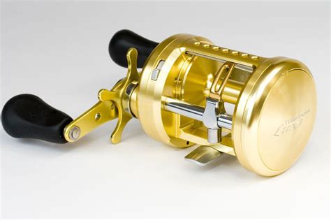 Daiwa Luna 300l Multiplier Reel Planet Sea Fishing