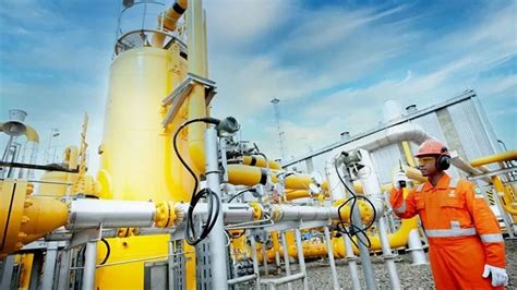 Subholding Gas Pertamina Perluas Utilisasi Gas Bumi Menuju Zero Net