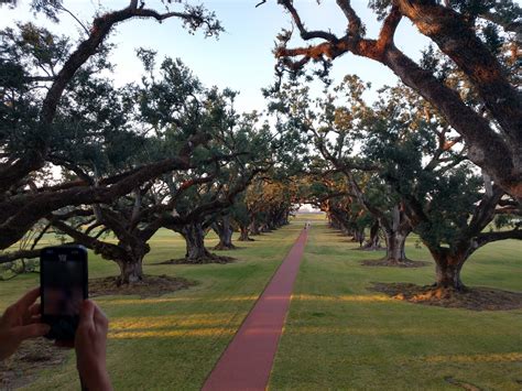 Full Day Oak Alley Plantation and Swamp Boat Tour from New Orleans ...