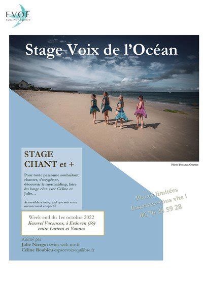 Evo Espace Voix Equilibre Cours De Chant Technique Vocale Saint