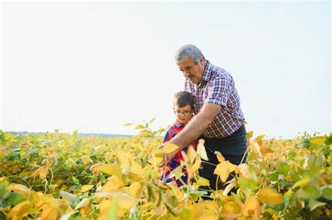 L Agriculture Familiale Grand P Re D Agriculteurs Avec Petit Fils Sur