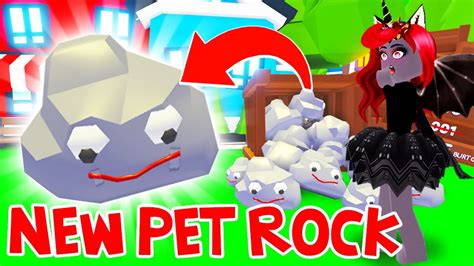 Spending The Day With My New Pet Rock In Adopt Me Roblox Youtube