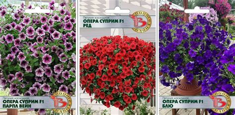 Петунии Биотехника петуния Опера/Б/ТЕХ - купить по выгодным ценам в ...