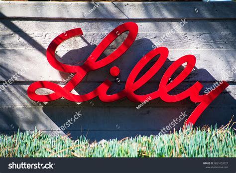 Eli Lilly: Over 124 Royalty-Free Licensable Stock Photos | Shutterstock