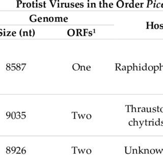 Comparative Phylogenetic Analysis Of Eight Diatom Viruses Based On