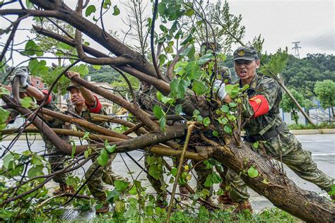 （图文互动）台风“杜苏芮”来袭 人民子弟兵全力迎战新华社泉州惠安县