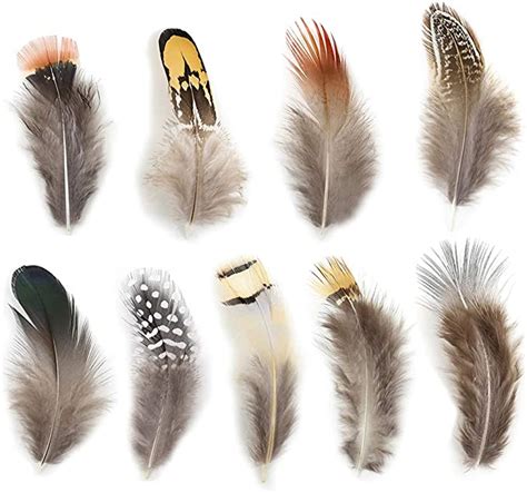 Amazon 180pcs 9 Styled Natural Feathers Assorted Mixed Feathers