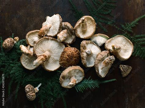 Shiitake mushrooms Stock Photo | Adobe Stock