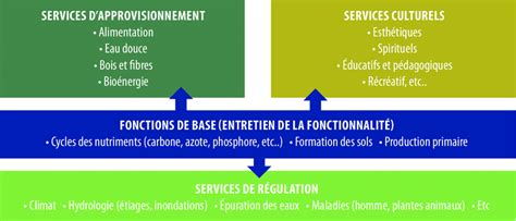 Typologie De Grands Types De Services écosystémiques Download