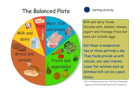 Balanced Diet Chart - Cliparts.co