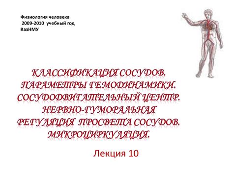 Физиология человека 1 курс