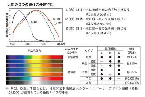 色の見え方は人それぞれ。カラーユニバーサルデザインについて学ぼう。 めがね新聞（メガネ・眼鏡）