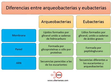 ARQUEOBACTERIAS Y EUBACTERIAS PDF 0 The Best Porn Website