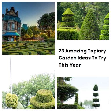 amazing topiary garden ideas    year sharonsable