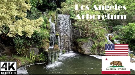 🌳4k 🇺🇸 Los Angeles Arboretum Meyberg Waterfall Walking Tour Part 2