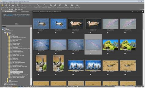 Melhor Software De Organiza O De Fotos Para Windows