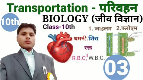 Transportation परिवहन Class 10th Biology Chapter 3 Part 3 Youtube