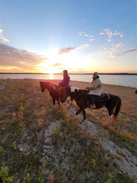 Sunset Horse Riding in Fort Worth, TX | Touch Of Chrome Paints