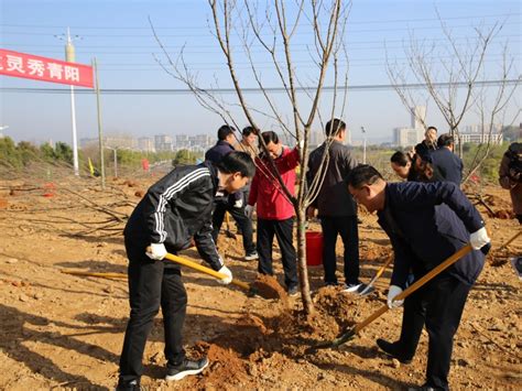 不负春光添新绿！青阳县四大班子领导参加义务植树活动 池州市林业局