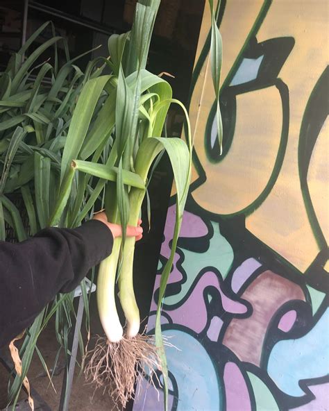 With Love Market and Café | Los Angeles CA