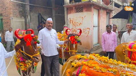 बैलों की बल्ले बल्ले इस राज्य में आज भी बैलों पर ट्रैक्टर से ज्यादा भरोसा करते हैं किसान जानें