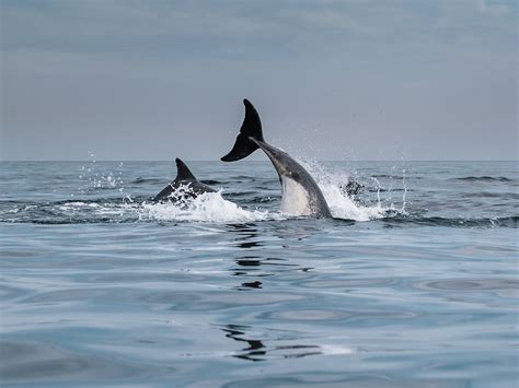 Everything you need to know about the Isle of Tiree — VisitTiree