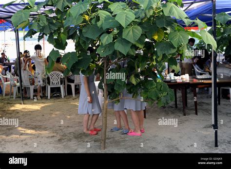 Beachlife in Wonsan Stock Photo - Alamy