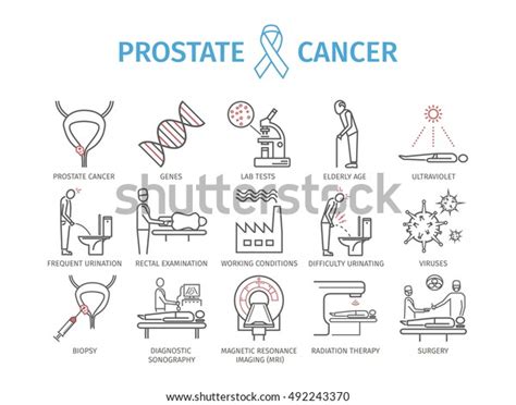 Prostate Cancer Symptoms Causes Treatment Line Stock Vector Royalty