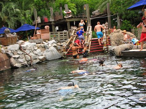 Bonao Internacional Nadando Con Tiburones Y Mantarrayas En El Parque