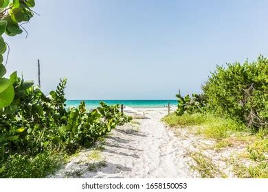 Las Coloradas Beach Yucatan Mexico Stock Photo 1658150053 | Shutterstock