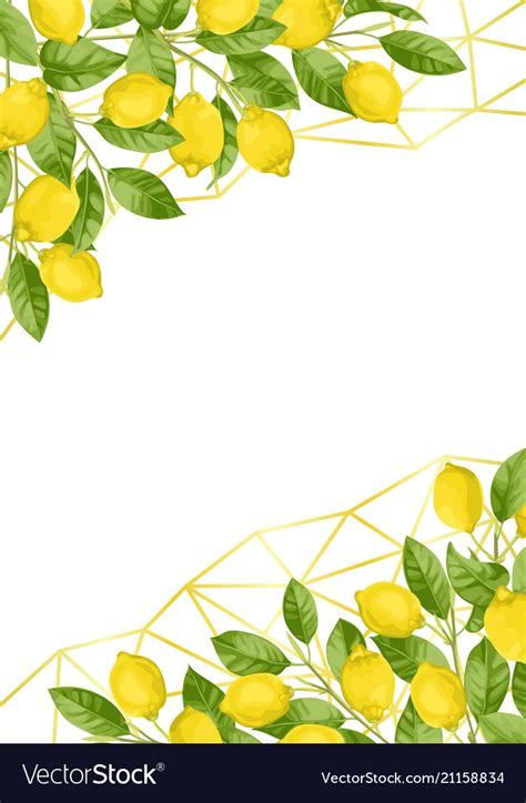 Luxury Lemon Brunches And Herbs Background Vector Image